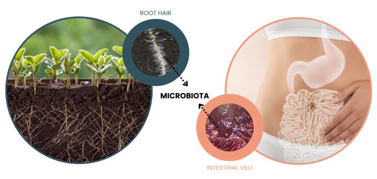 Horizon - Microbiota